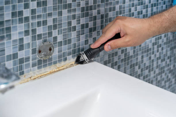 Best Mold Remediation  in Ellsworth, WI