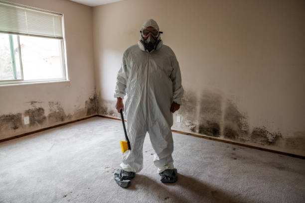 Best Mold Removal and Inspection  in Ellsworth, WI